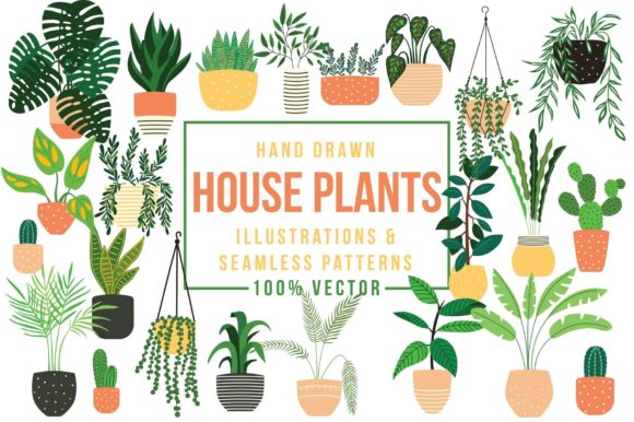 House Plants - Illustrations Patterns: A Versatile Resource for Modern Creatives